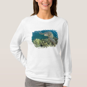 T-shirt La tortue verte, (Chelonia mydas), est le