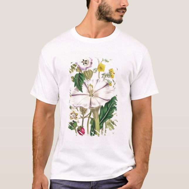 T-shirt La trompette du diable, plaquent 46 "des dames (Devant)