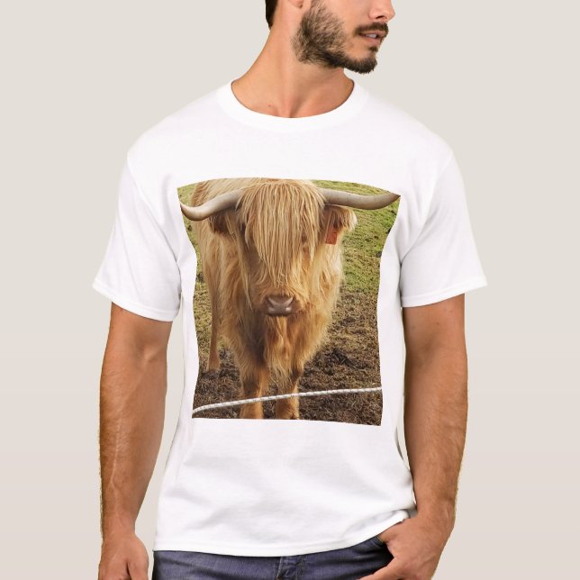 T-shirt La vache des Highlands (Devant)