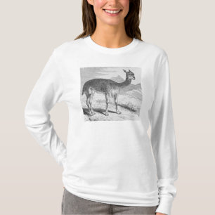 T-shirt La vigogne à Rio de Azufre
