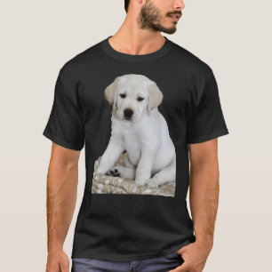 T-shirt Laboratoire Jaune Assis Plutôt