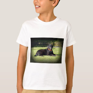 T-shirt Laboratoire noir