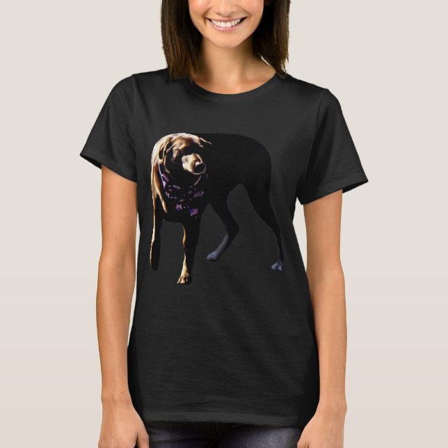 T-shirt Labrador chocolat (Devant)