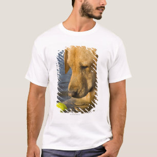 T-shirt Labrador jaune avec de la balle de tennis dans