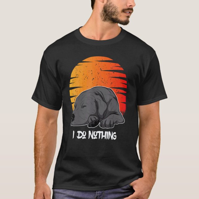 T-shirt Labrador Retriever Chien Coucher de soleil 55 (Devant)