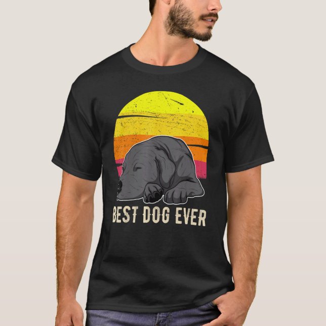 T-shirt Labrador Retriever Chien Coucher de soleil 59 (Devant)