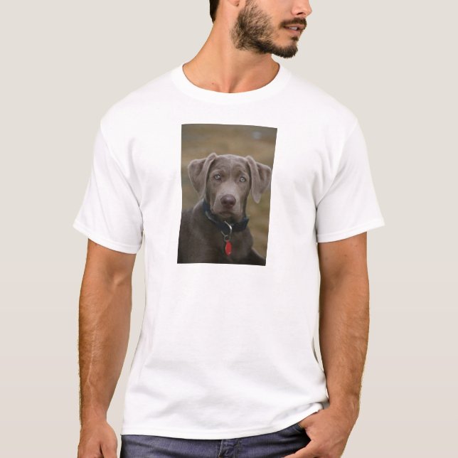 T-shirt Labrador retriever en argent léger rare (Devant)