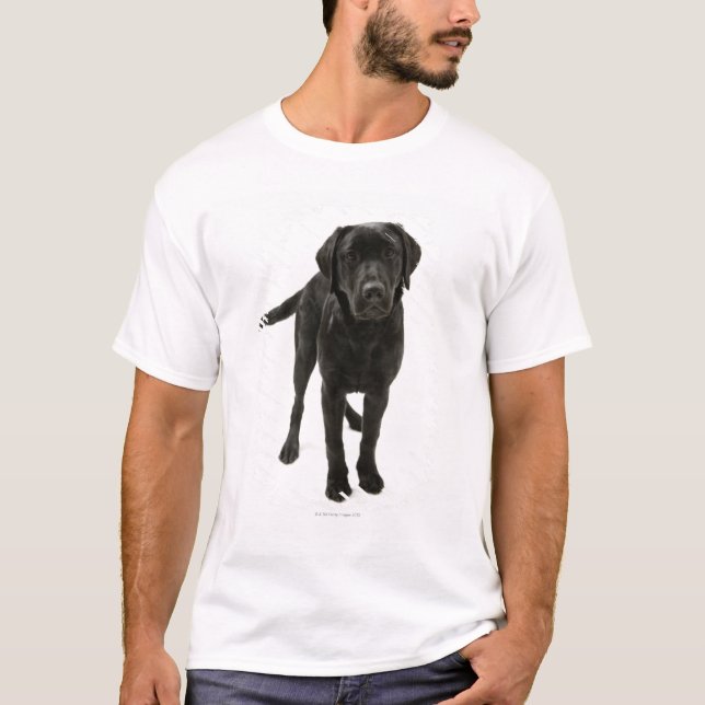 T-shirt Labrador retriever noir (Devant)
