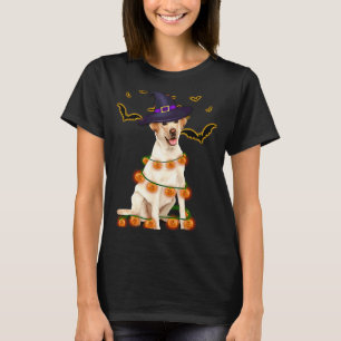 T-shirt Labrador Wizard Casquette Tree Lights Citrouille P
