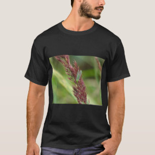 T-shirt Lacewing Insect Nature Tee Print