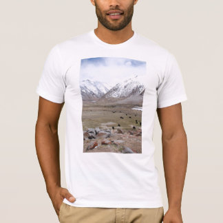 T-shirt Ladakh