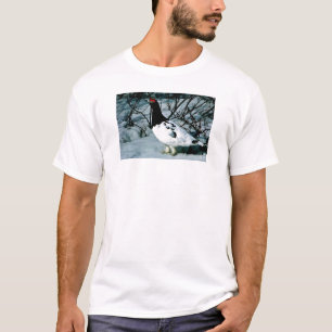T-shirt Lagopède alpin de roche