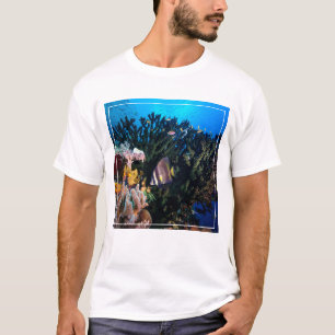 T-shirt Laja Ampat 4 sous-marins