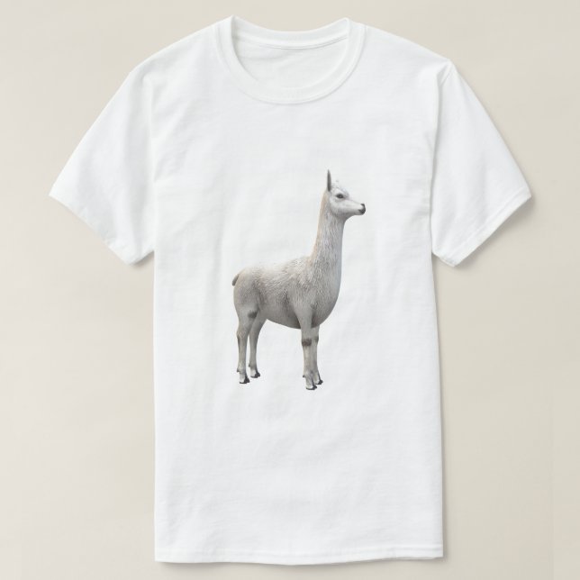 T-shirt lama/alpaca blanc (Design devant)