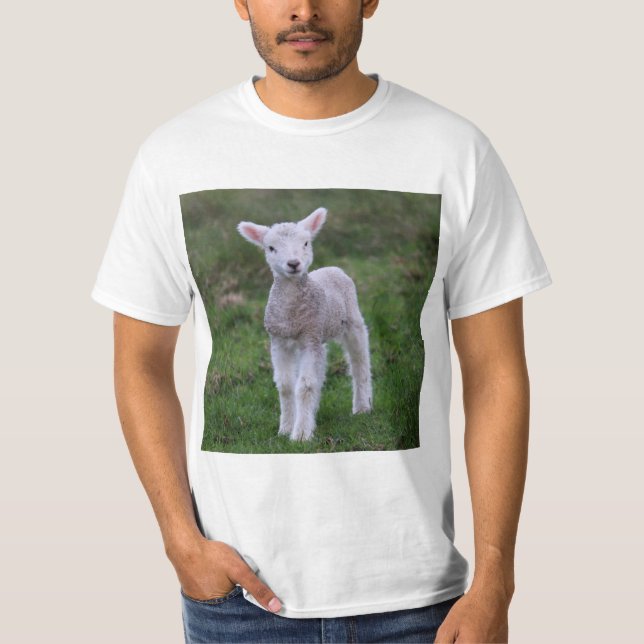 T-shirt Lamb Bébé Mouton ferme animal (Devant)