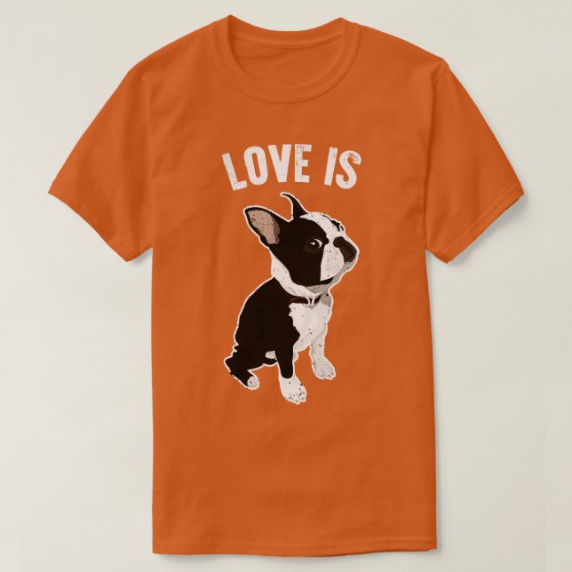 T-shirt L'Amour Est Le Chien Terrier De Boston (Design devant)