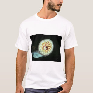 T-shirt Lamproie de mer