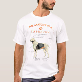 T-shirt L'anatomie d'un chien du Labrador - la meilleure m