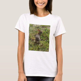 T-shirt Lapin Lapin Lièvre Stups