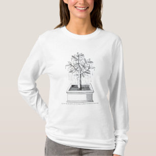 T-shirt L'arbre de la vie, ou l'arbre pleurant