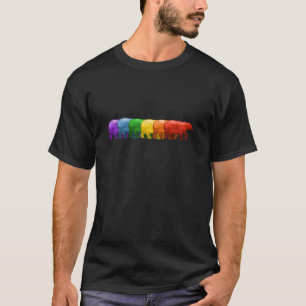 T-shirt L'arc-en-ciel soutient v3