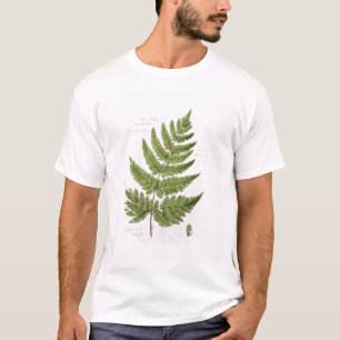 T-shirt Large fougère de bouclier Épineux-dentée, peint