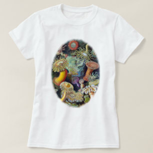 T-shirt l'art de la nature par Ernst Haeckel