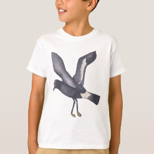 T-shirt L'art ornithologique de Wilson Storm-Petrel
