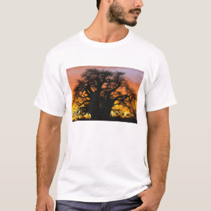 T-shirt Le baobab africain, Adansonia digitata,