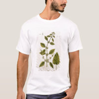 Le baume, plaquent 27 "d'un de fines herbes