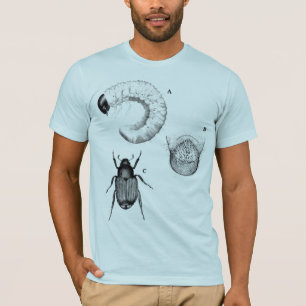 T-shirt Le bleu d'insectes et de scarabées a semi adapté