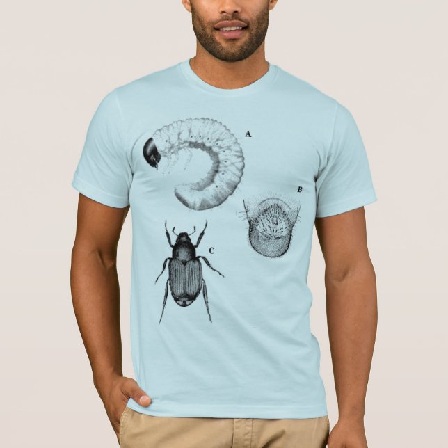 T-shirt Le bleu d'insectes et de scarabées a semi adapté (Devant)