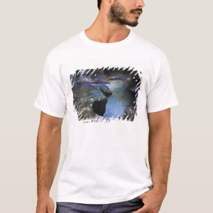 T-shirt Le canyon de fente de souterrain