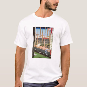T-shirt Le chat blanc est assis près de la fenêtre, Utagaw