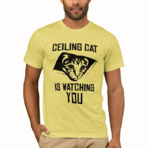 Le chat de plafond vous observe !