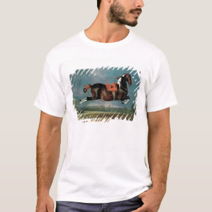 T-shirt Le cheval pie "Cehero" s'élevant