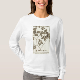 T-shirt Le Chili 3