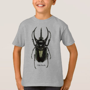 T-shirt Le coléoptère Atlas