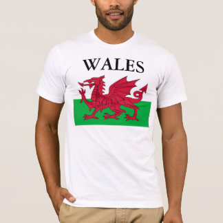 T-shirt Le drapeau de GALLOIS