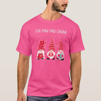 T-shirt Le Gnome Paw Paw Correspondant à la Famille de Noë