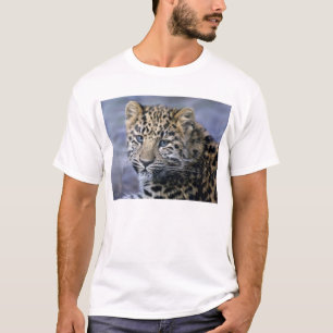 T-shirt Le léopard CUB piquent