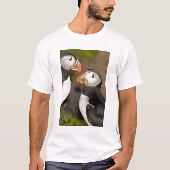 T-shirt Le Macareux atlantique (Devant)