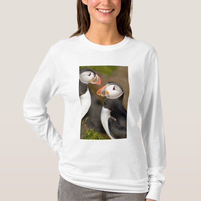 T-shirt Le Macareux Atlantique (Devant)