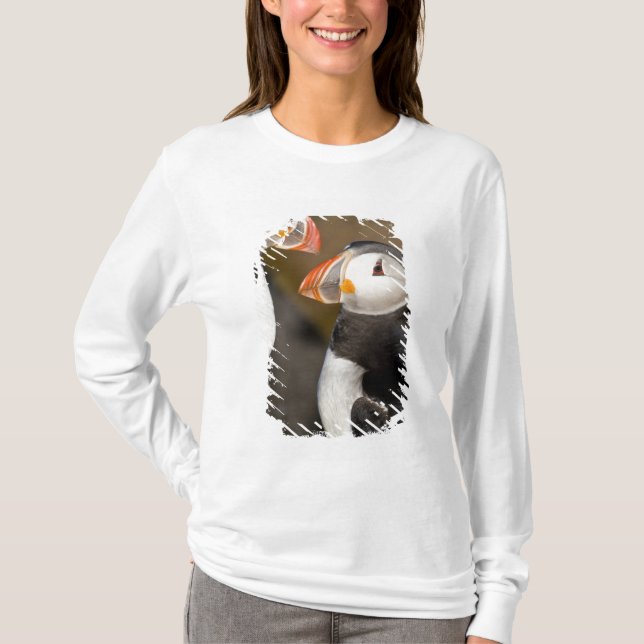T-shirt Le Macareux atlantique (Devant)