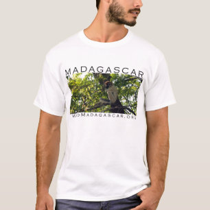 T-shirt LE MADAGASCAR : chemise de lémur de sifaka