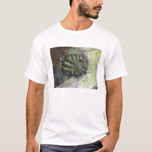 T-shirt Le massif de Brandberg dans le nord de la Namibie