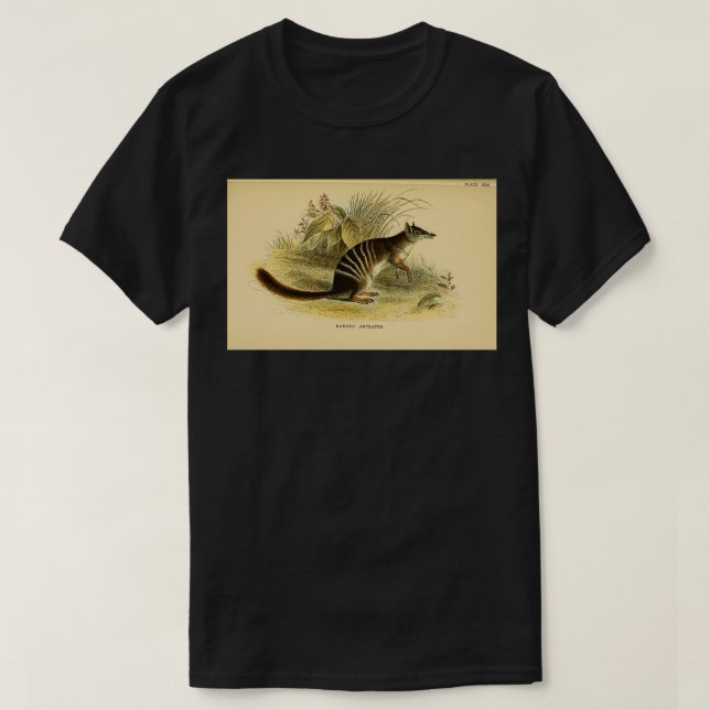 T-shirt Le numbat Myrmecobius fasciatus Ici comme Bandé An (Design devant)