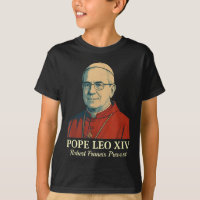 Le pape Leo Xiv Robert Francis Prevost _8
