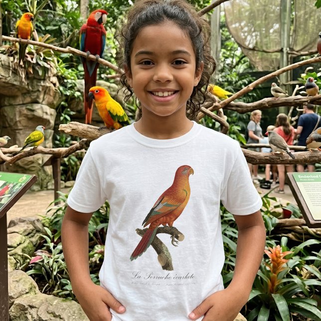 T-shirt Le Perruche écarlate (Red Lory or Eos Bornea, Trichoglossus borneus. Girl Basic White T-Shirt)