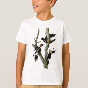 T-shirt Le pivert Ivoire-affiché d'Audubon